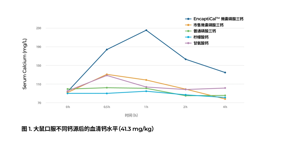 new-product-launch-2.jpg