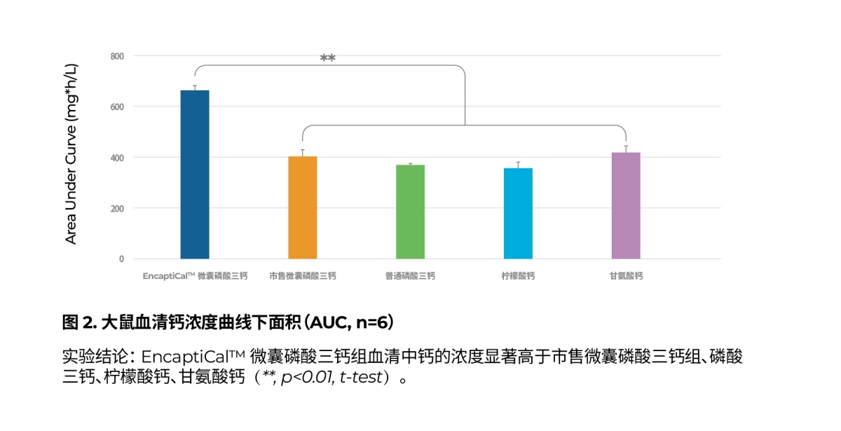new-product-launch-3.jpg