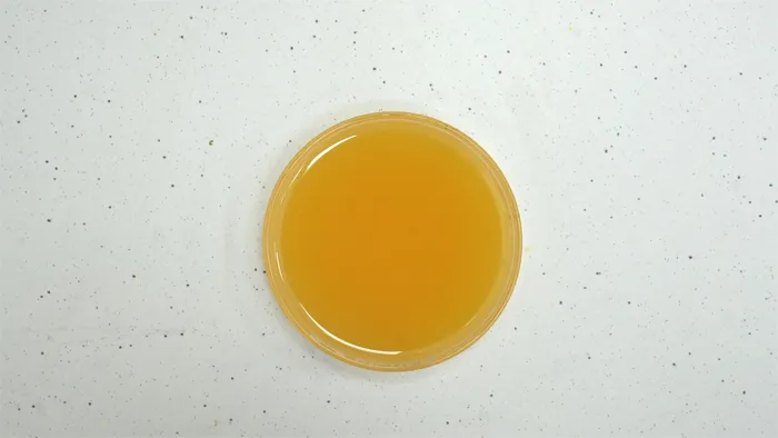 rimind-ps-product-upgrade-why-low-viscosity-matters-for-oil-dispersible-ps-02.jpg