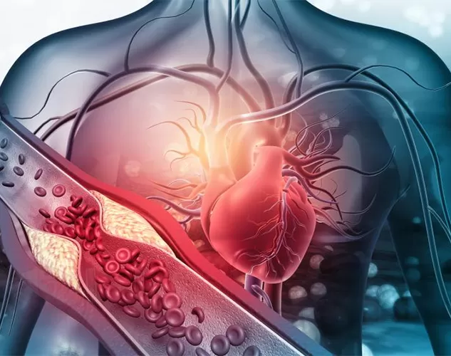 Be Alert to Sudden Cardiac Death: Unveiling the Overlooked Silent Vascular Killer and How Vitamin K2 Protects the Heart