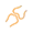 Bone Health
