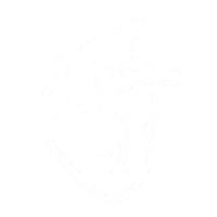 Cardiovascular Function