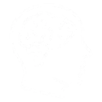 Cognitive Function