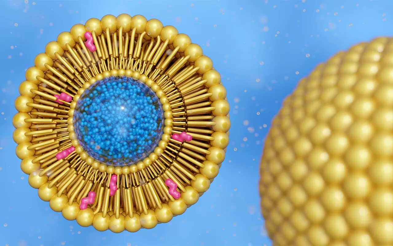 Liposome