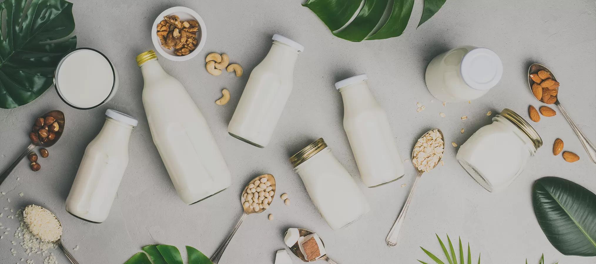 Richen Nutritional Ingredients for Milk & Dairy