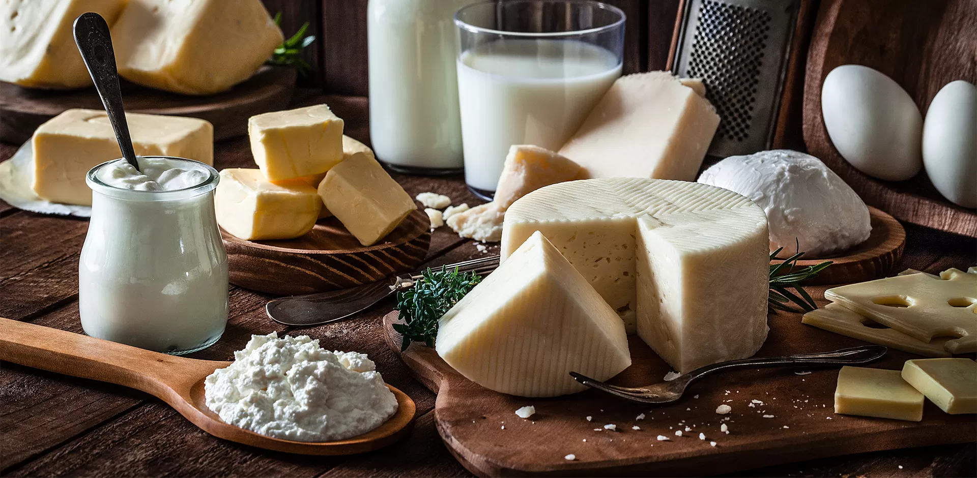Milk & Dairy Fortification