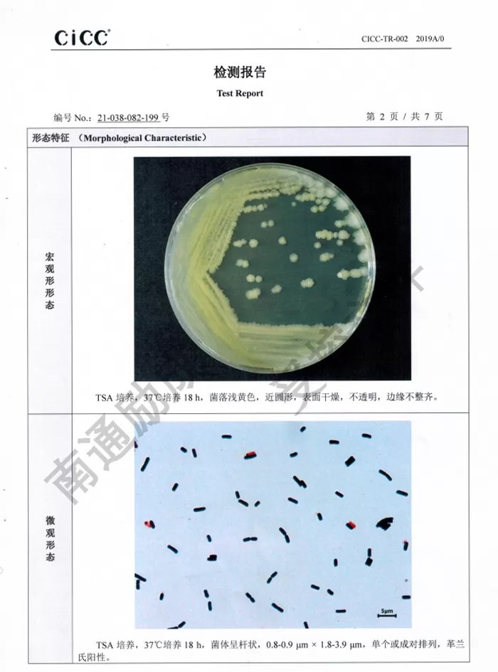 certified by the China Industrial Microbial Culture Collection Center