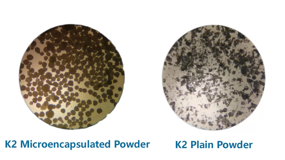 richen new rivik2 micro encapsulated powder vs k2 plain powder richen new rivik2 micro encapsulated powder vs k2 plain powder