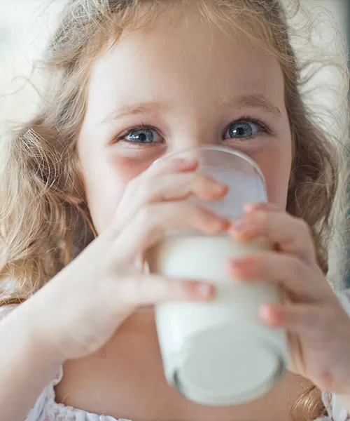 Dairy