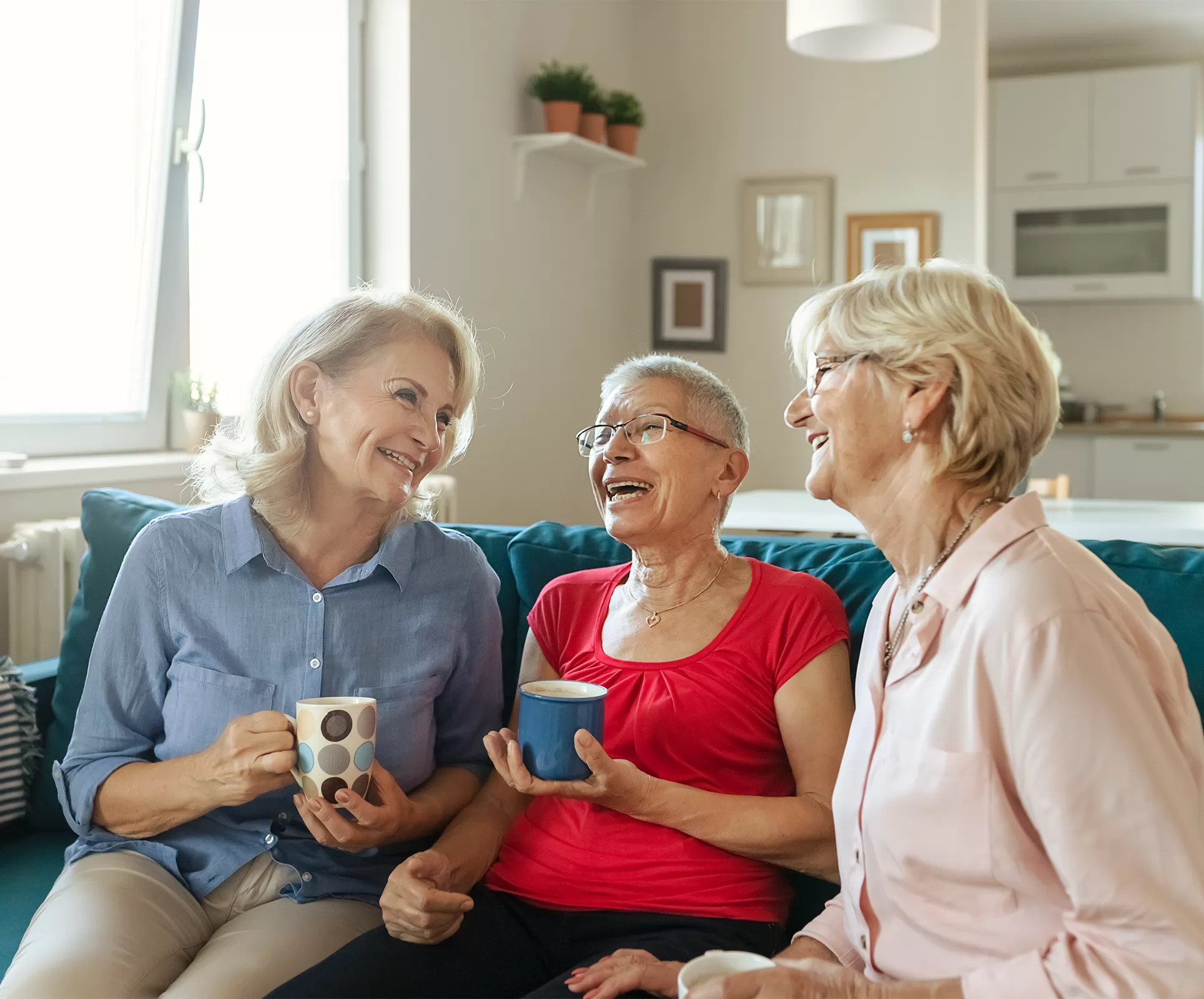 Older adults needing immune support